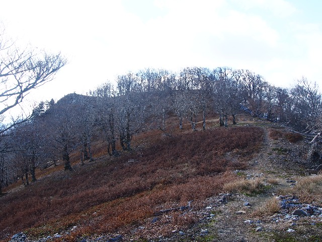 f:id:arucu:20181125232308j:image