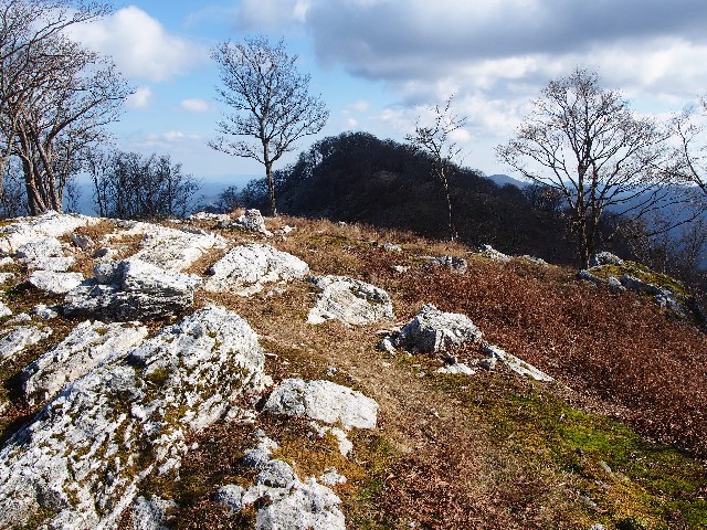 f:id:arucu:20181125233643j:image