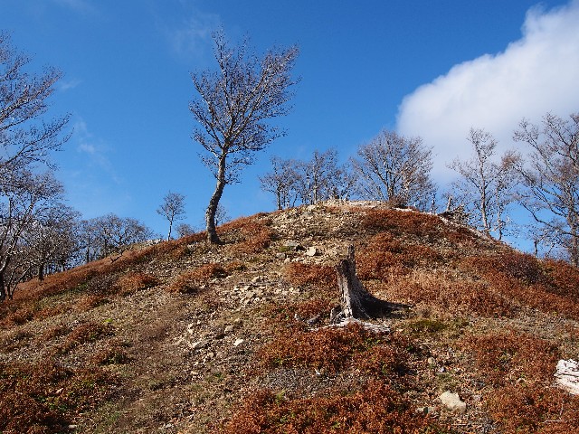 f:id:arucu:20181125234558j:image