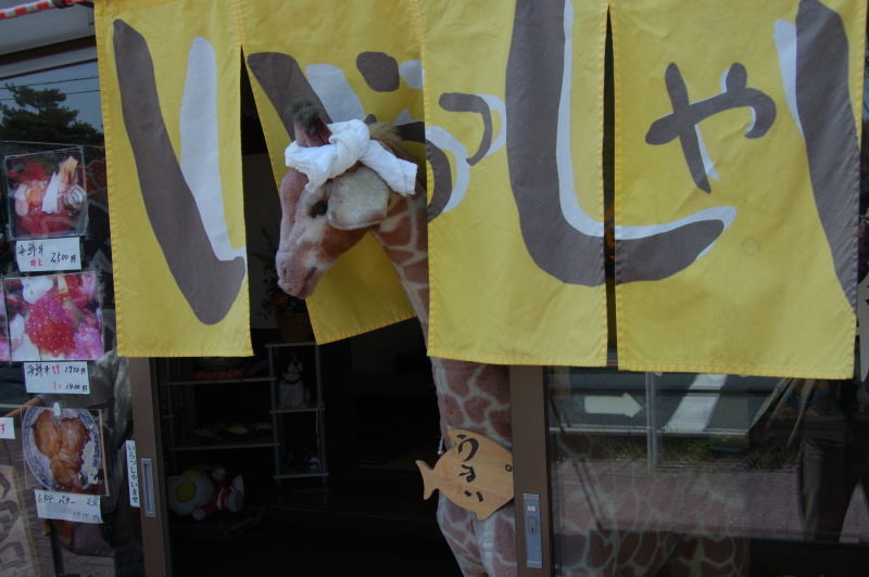 f:id:aruiha_shikashi:20090513002259j:image