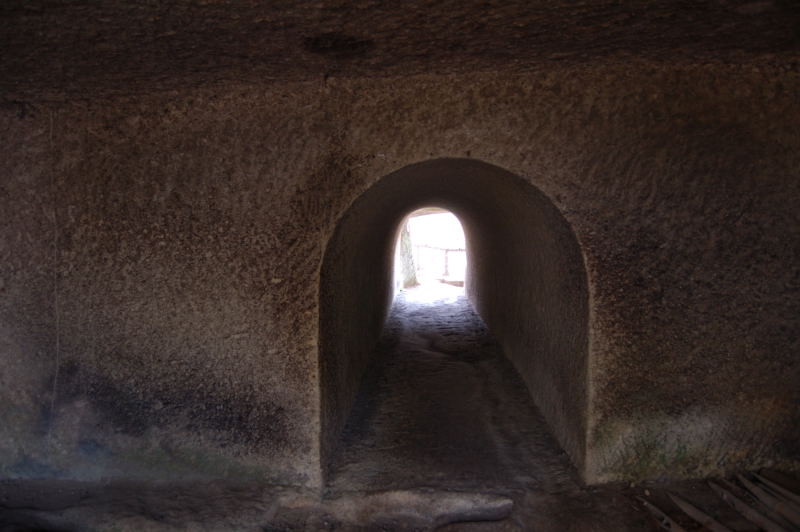 f:id:aruiha_shikashi:20090513002303j:image