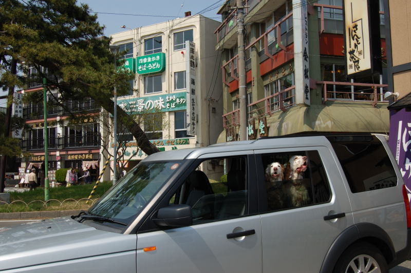 f:id:aruiha_shikashi:20090513002308j:image