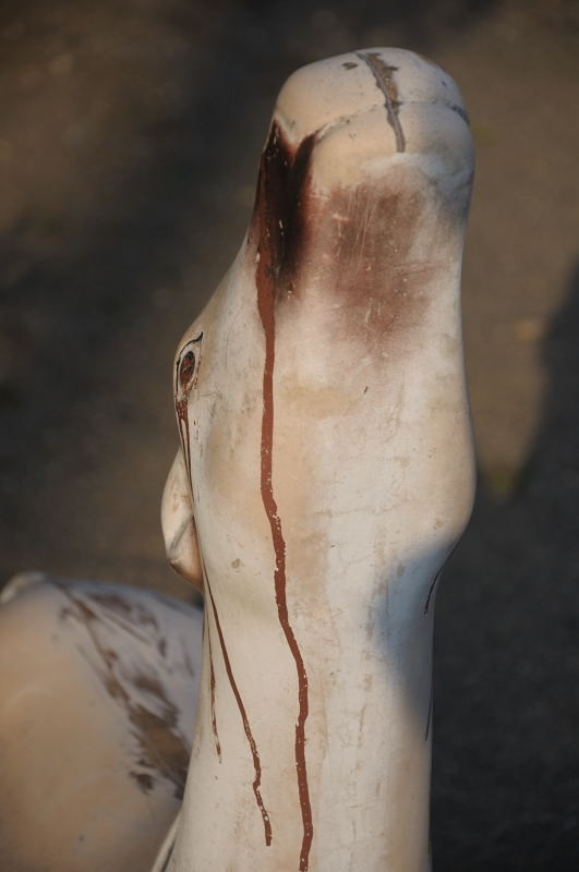 f:id:aruiha_shikashi:20090616225219j:image