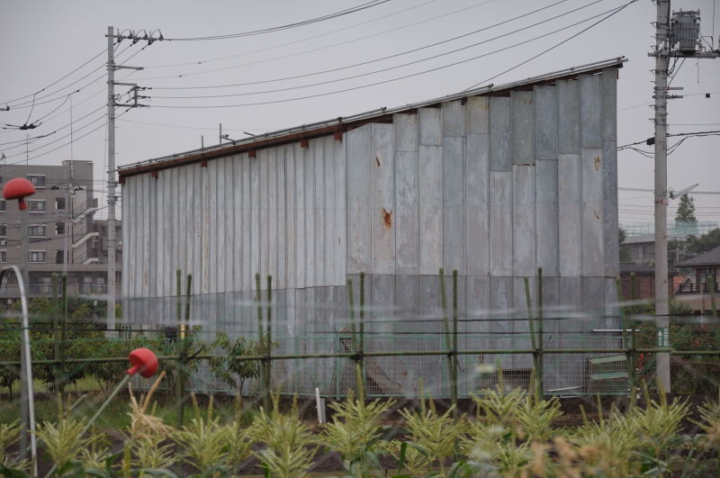 f:id:aruiha_shikashi:20090704001249j:image