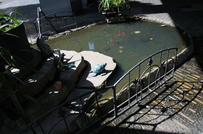 f:id:aruiha_shikashi:20101220002117j:image