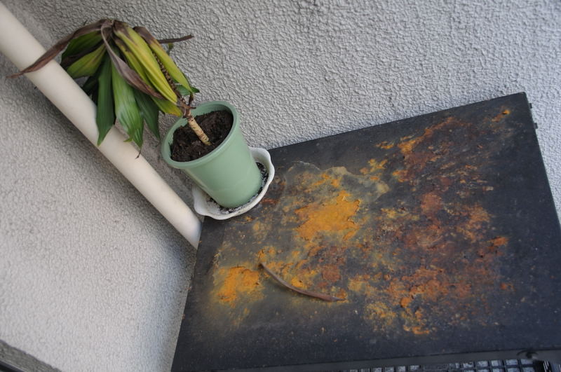 f:id:aruiha_shikashi:20101227211102j:image