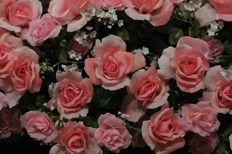 f:id:aruiha_shikashi:20110110225727j:image