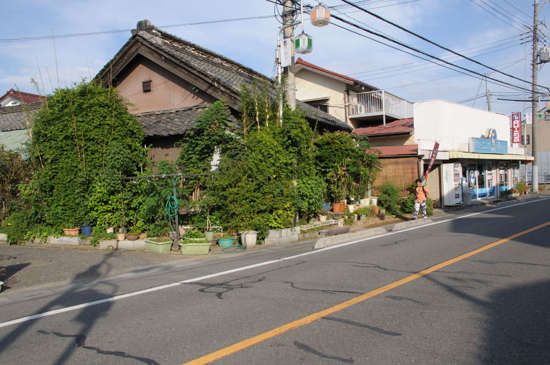 f:id:aruiha_shikashi:20110124203215j:image