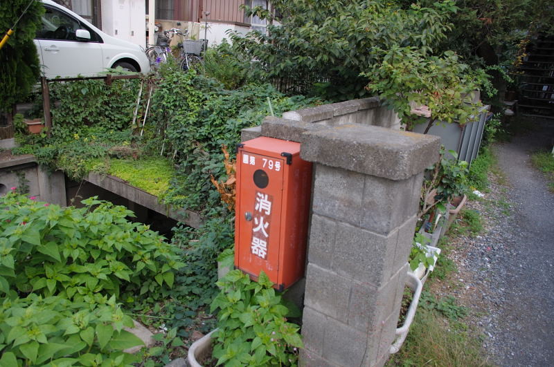 f:id:aruiha_shikashi:20110131220939j:image