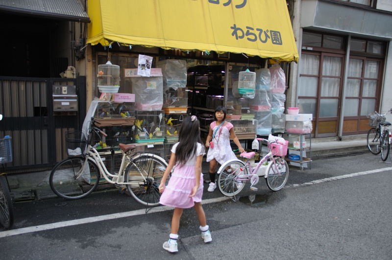 f:id:aruiha_shikashi:20110201221157j:image