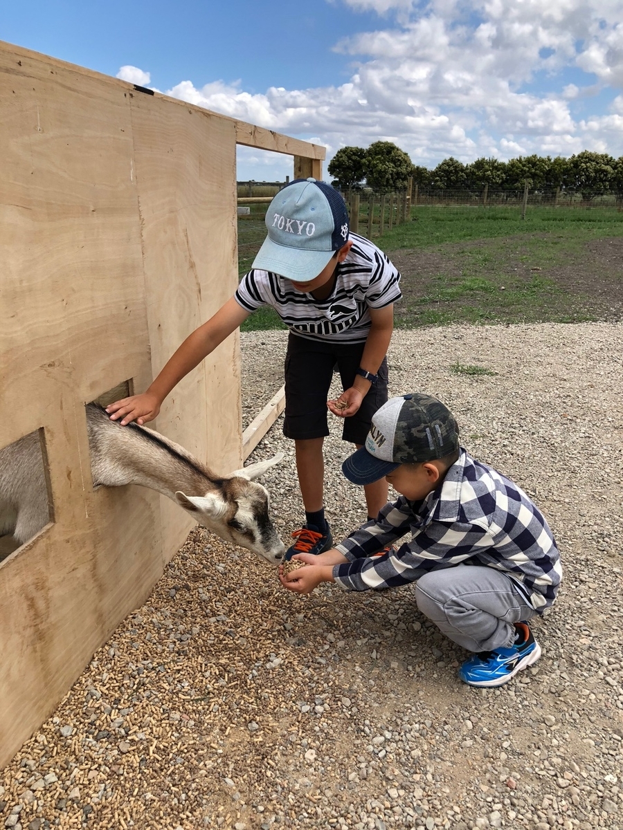 f:id:aruimk:20201224181426j:plain
