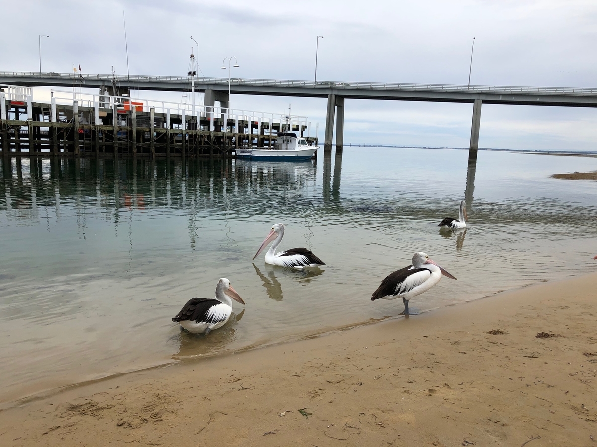 f:id:aruimk:20201226142843j:plain