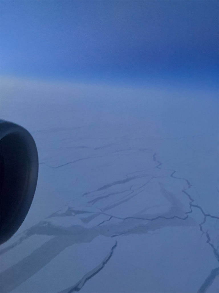 f:id:aruimk:20241214045810j:image