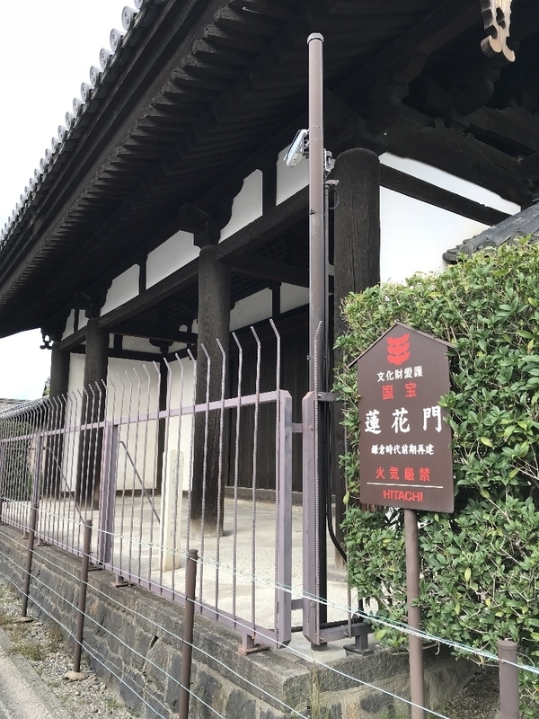 イメージ 5