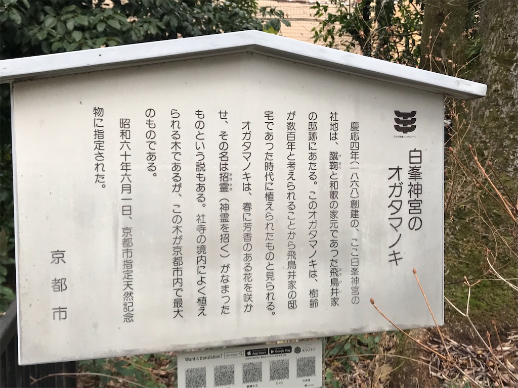 f:id:aruipoo:20200112093036j:image