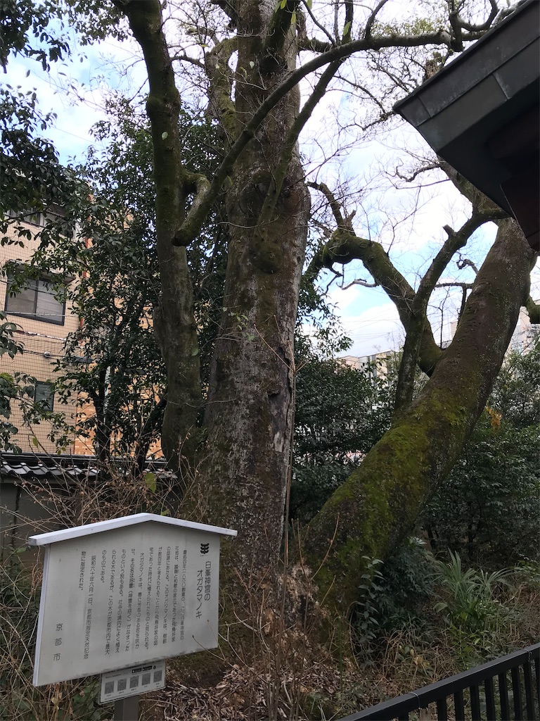 f:id:aruipoo:20200112093101j:image