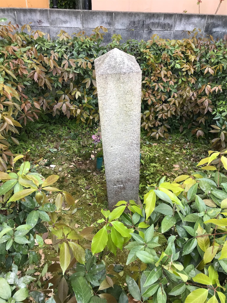 f:id:aruipoo:20200412213354j:image f:id:aruipoo:20200412213354j:image