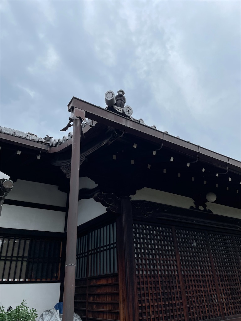 f:id:aruipoo:20230911151219j:image