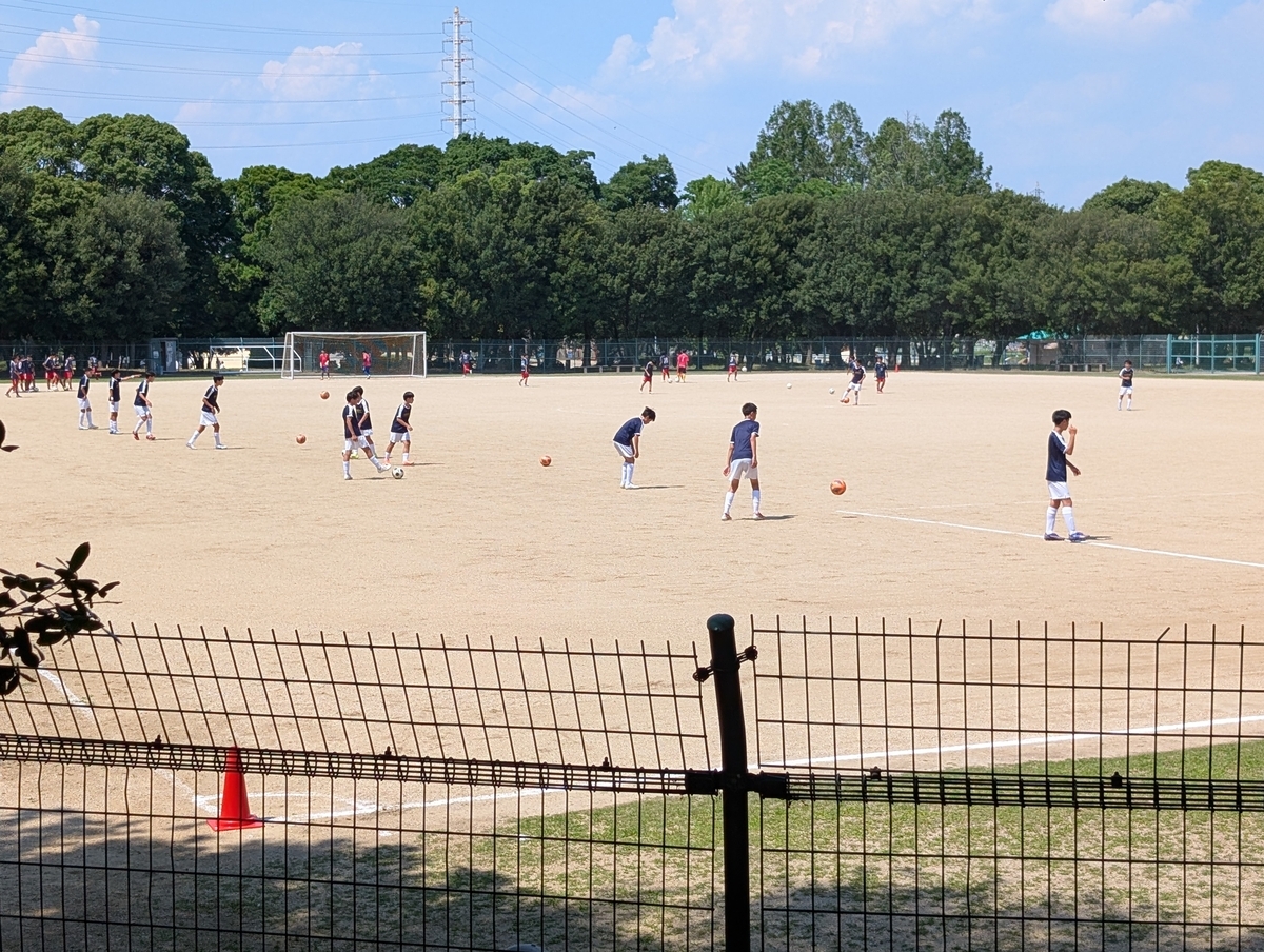 大泉 緑地 野球 場