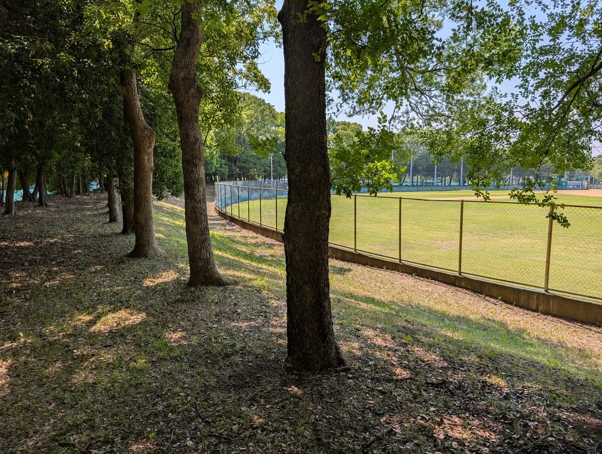 大泉 緑地 野球 場