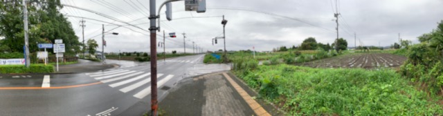 f:id:arukiroku_1974:20200801162627j:plain
