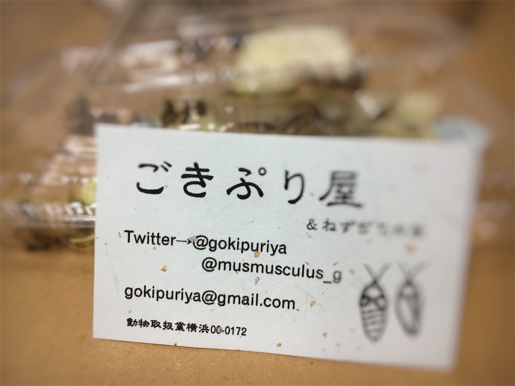 f:id:arukublog:20180827022210j:image f:id:arukublog:20180827022210j:image