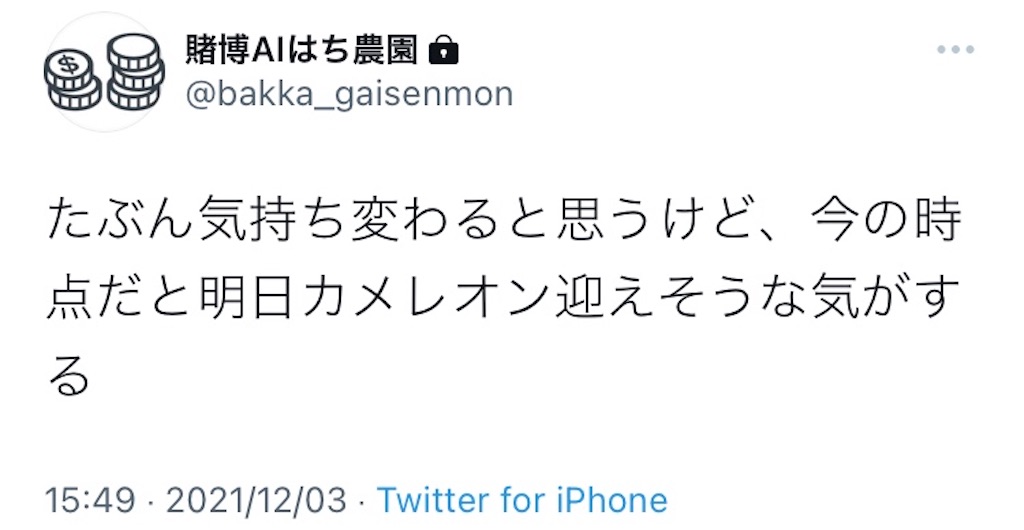 f:id:arukublog:20211209231539j:image