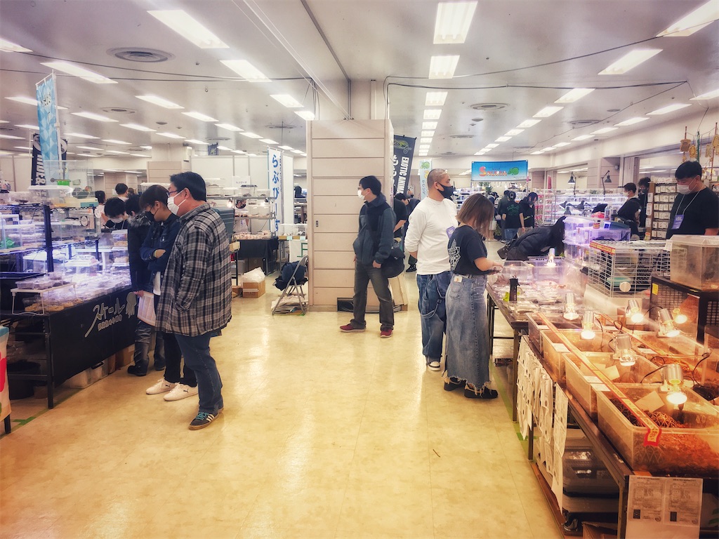 f:id:arukublog:20211210001934j:image