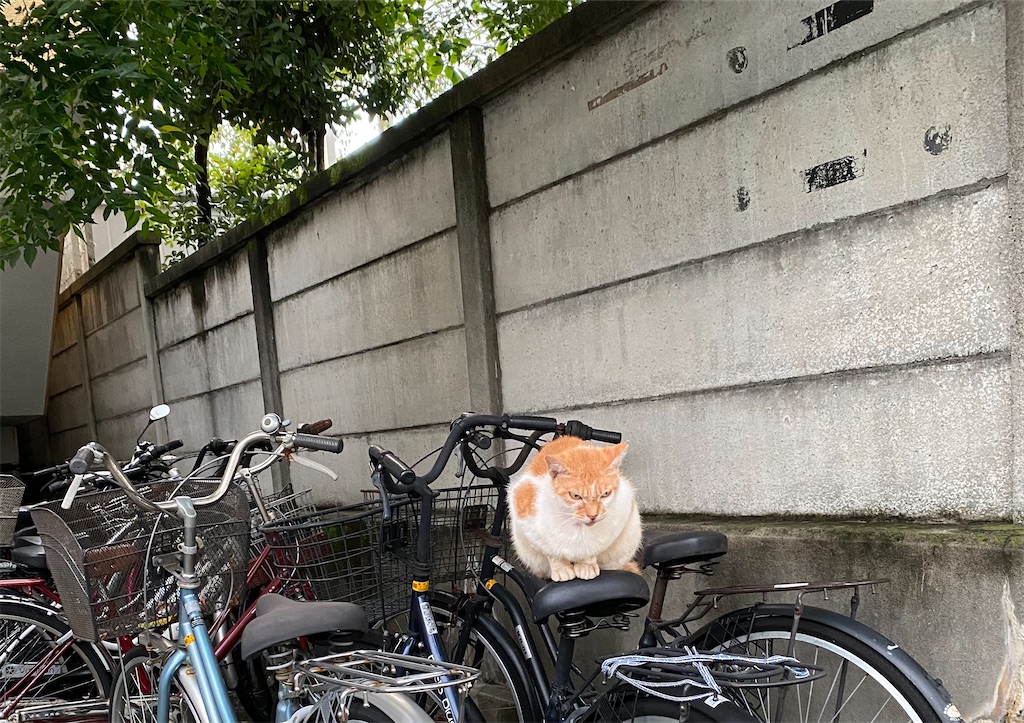 f:id:arukuhito_070:20210910193438j:plain