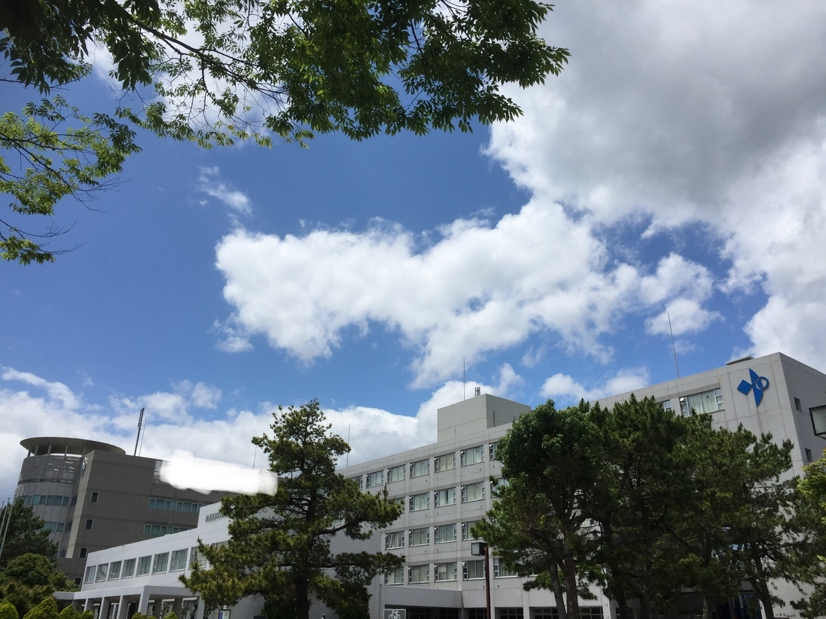 f:id:arukuumako:20190616215935j:plain