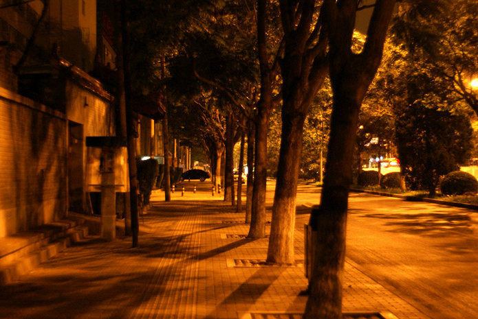 個別「夜道」の写真、画像 - PENTACON 50F1.8 - 地道な日々の記録