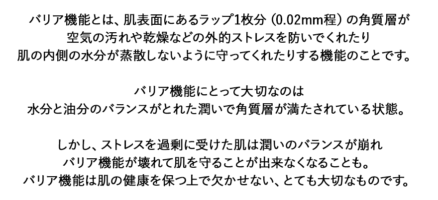 f:id:arumaaru:20210915145809p:plain