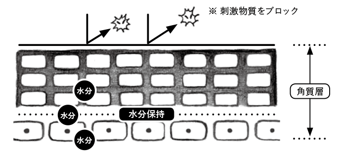 f:id:arumaaru:20210915145840p:plain