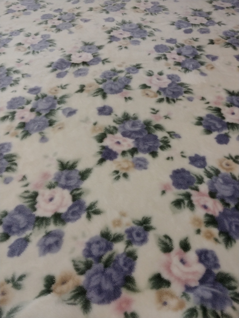 f:id:arumajirocket:20180630204341j:plain f:id:arumajirocket:20180630204341j:plain