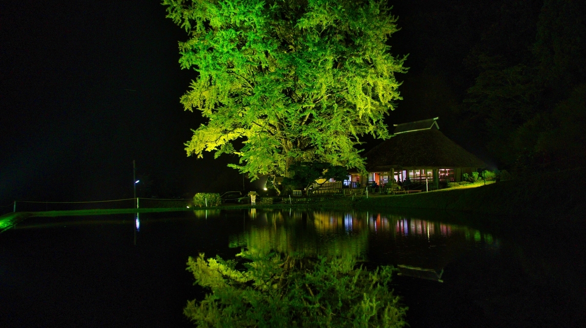 f:id:arumajirocket:20191026175847j:plain f:id:arumajirocket:20191026175847j:plain