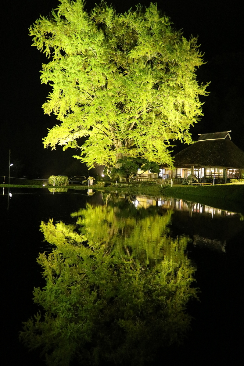 f:id:arumajirocket:20191026182637j:plain f:id:arumajirocket:20191026182637j:plain