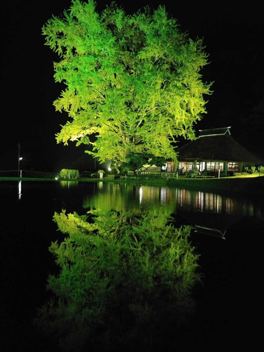 f:id:arumajirocket:20191026183130j:plain f:id:arumajirocket:20191026183130j:plain