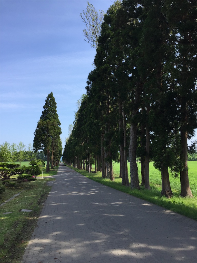 f:id:arumiman:20170624002952j:image f:id:arumiman:20170624002952j:image