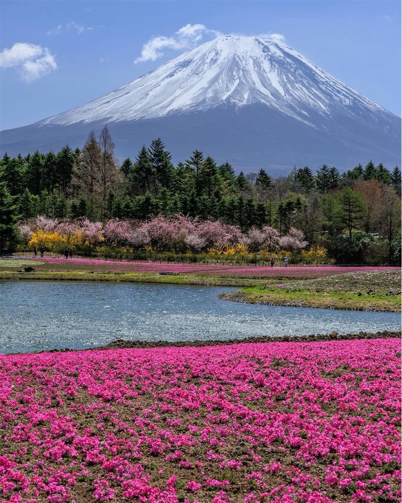 f:id:arunas001:20250424063738j:image