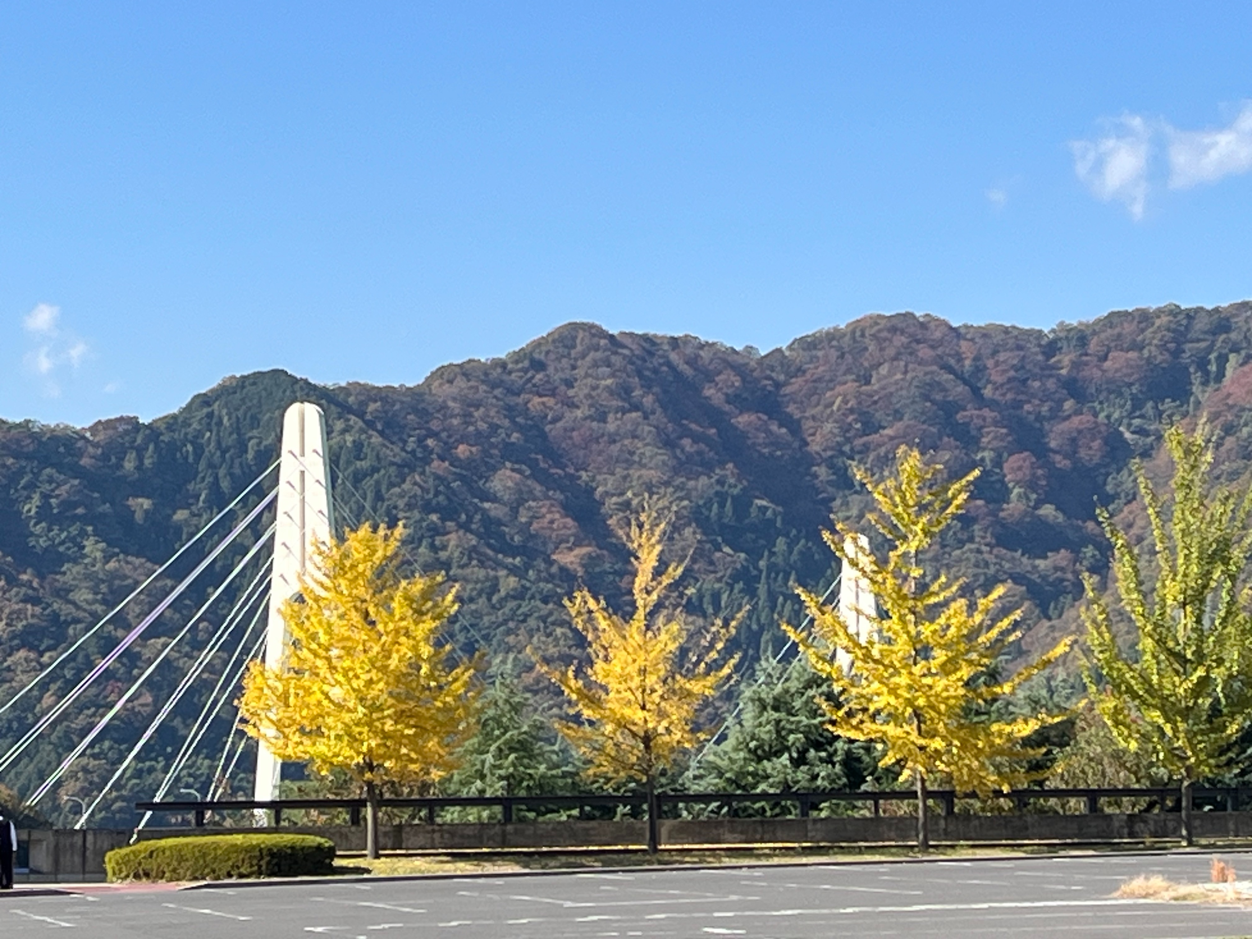 f:id:arunas001:20251117211102j:image f:id:arunas001:20251117211102j:image