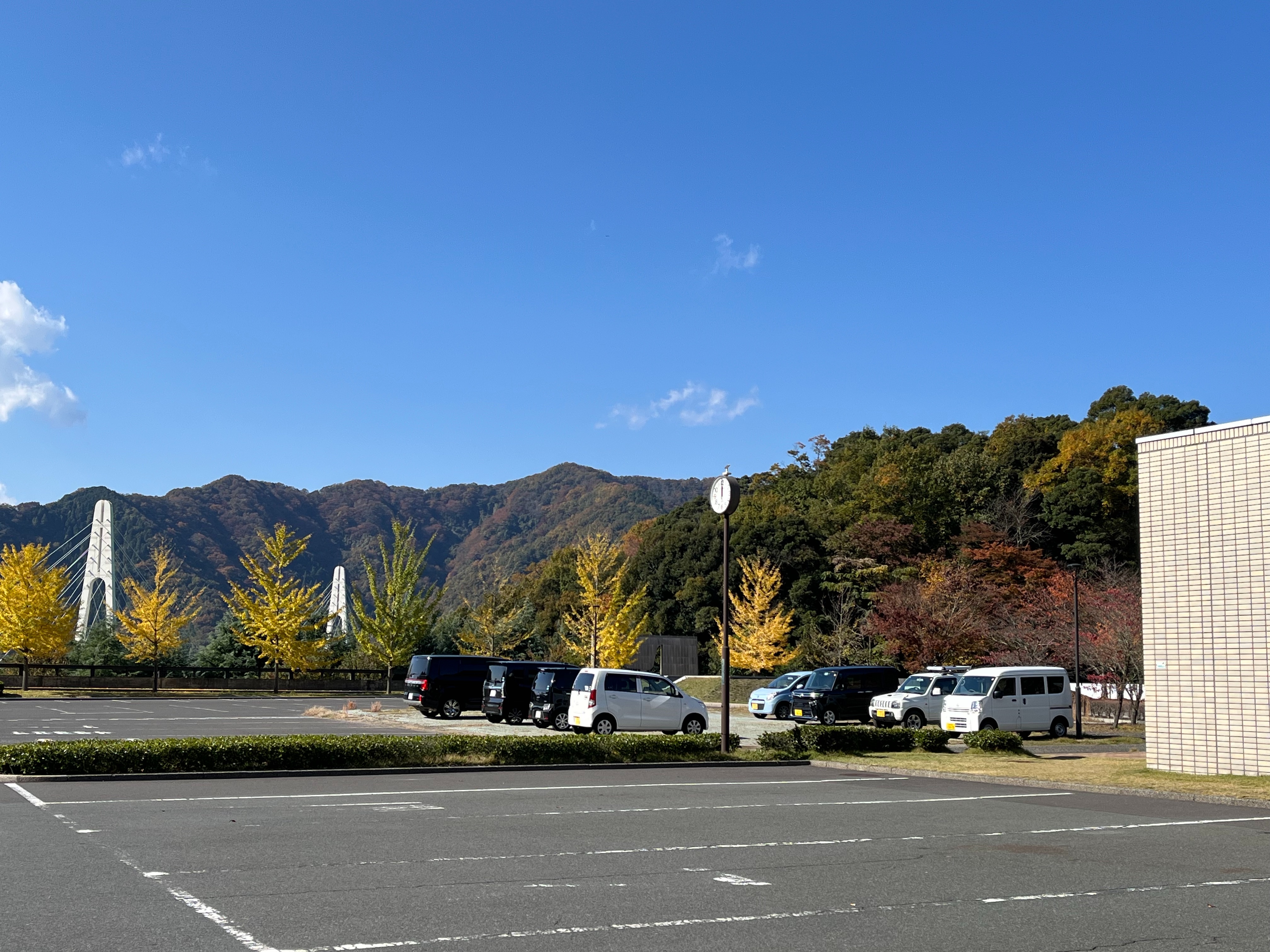 f:id:arunas001:20251117211120j:image f:id:arunas001:20251117211120j:image