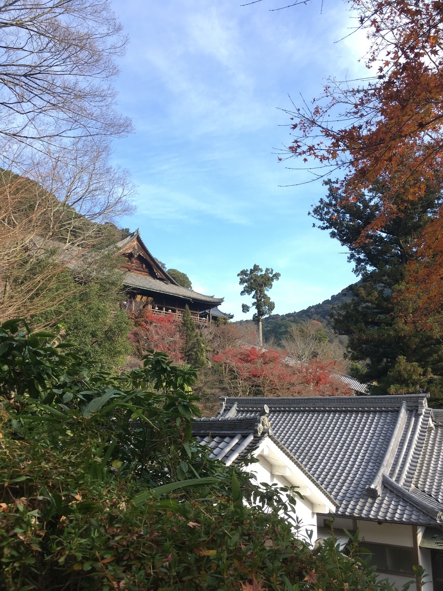 f:id:arupounya3:20201213093258j:plain
