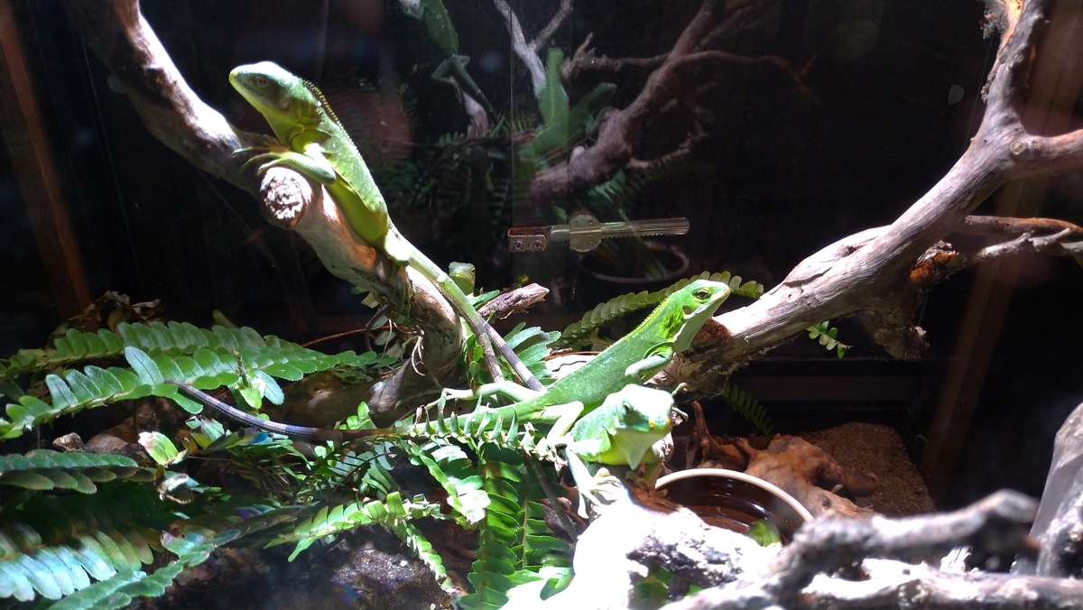 Baby Portable Log