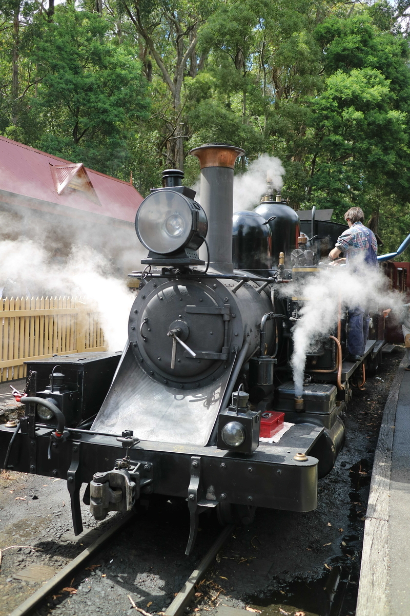 2024年 メルボルン旅行⑤ 蒸気機関車パッフィンビリー鉄道