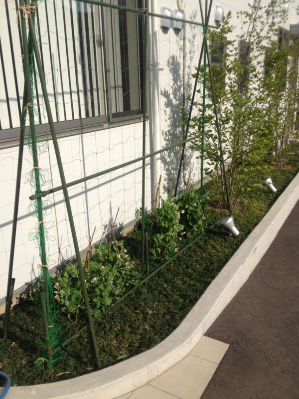 f:id:arushounikai:20130417073725j:image:w360