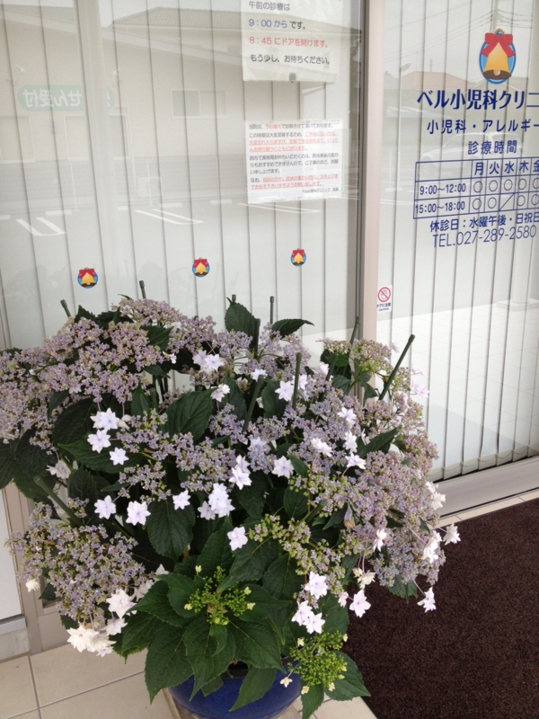 f:id:arushounikai:20130620080058j:image:w360