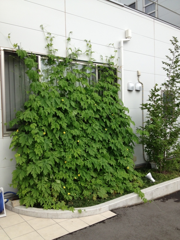 f:id:arushounikai:20130704075132j:image:w360