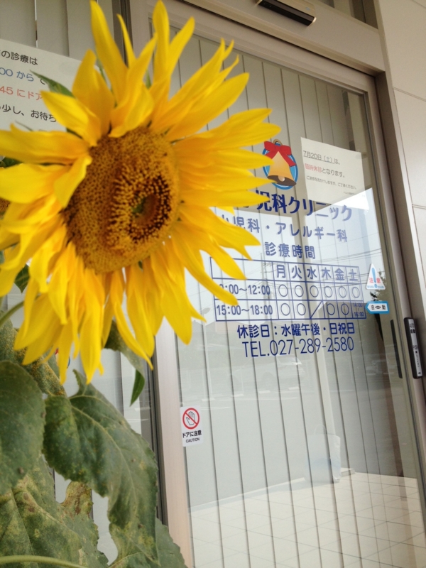 f:id:arushounikai:20130712075328j:image:w360