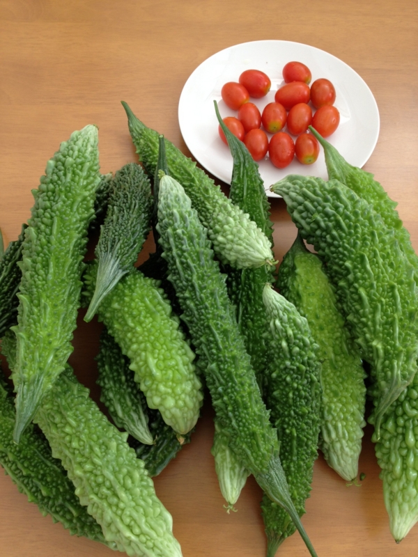 f:id:arushounikai:20130716091115j:image:w360