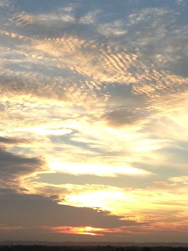 f:id:arushounikai:20130720184443j:image:w360